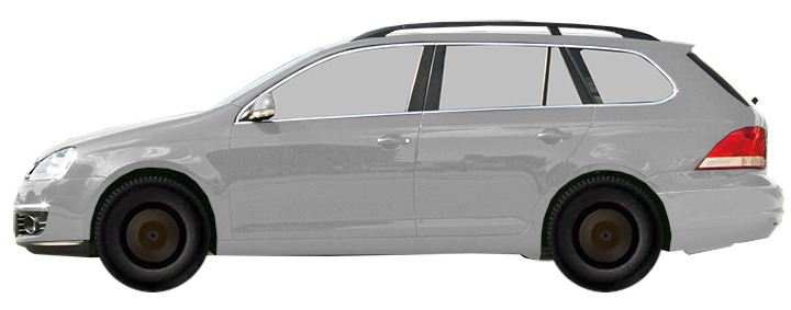 Volkswagen Golf V 1K5 Variant (2007-2008) 1.9 TDI